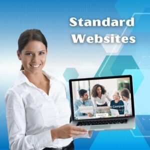 Standard Website Development Service